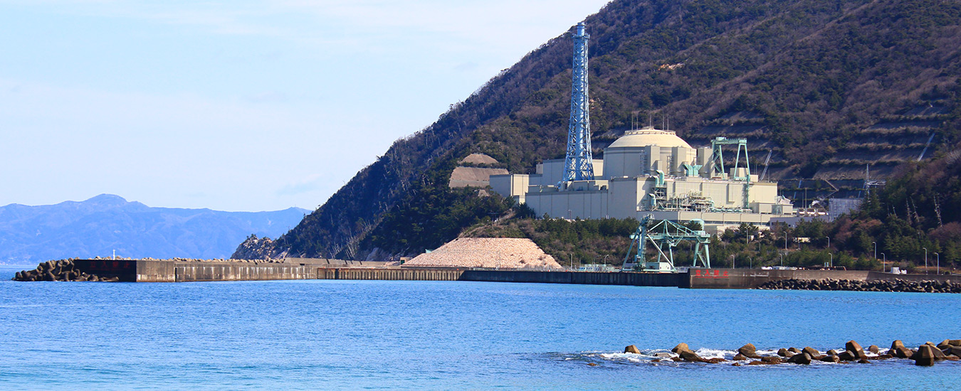 原子力発電所保守